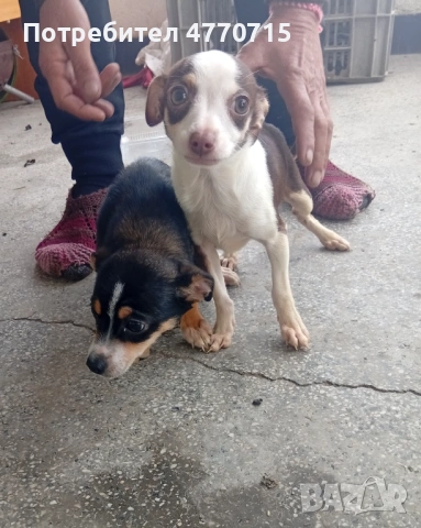 гр.Сливен с.Желю.Войвода