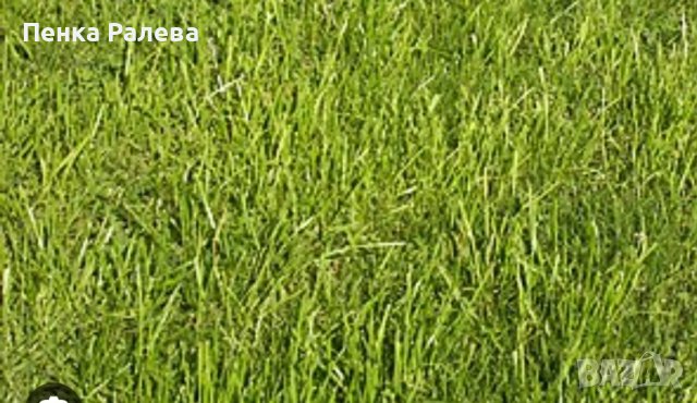 Продавам парцел 