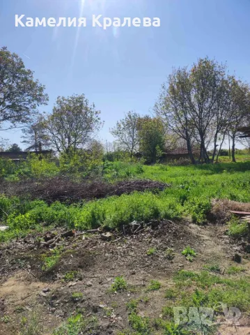 с.Селановци Продавам урегулиран парцел, снимка 5 - Парцели - 47039471