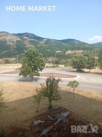 Земеделска земя под наем , снимка 5 - Земеделска земя - 52392531