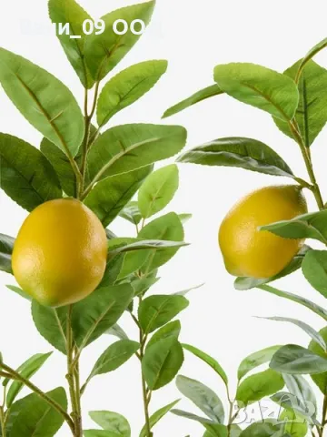 Изкуствено лимоново дръвче, снимка 3 - Декорация за дома - 50312762