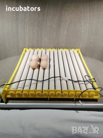 Люлка на ролки за яйца, снимка 5 - За птици - 32082258