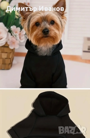 Модерни дрехи за кучета: Суичъри (Худита) с надписи, Пуловер (S, M), снимка 6 - За кучета - 52574699