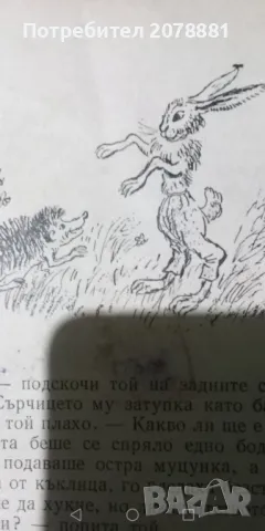 Стари редки антикварни книги , снимка 10 - Художествена литература - 50407185