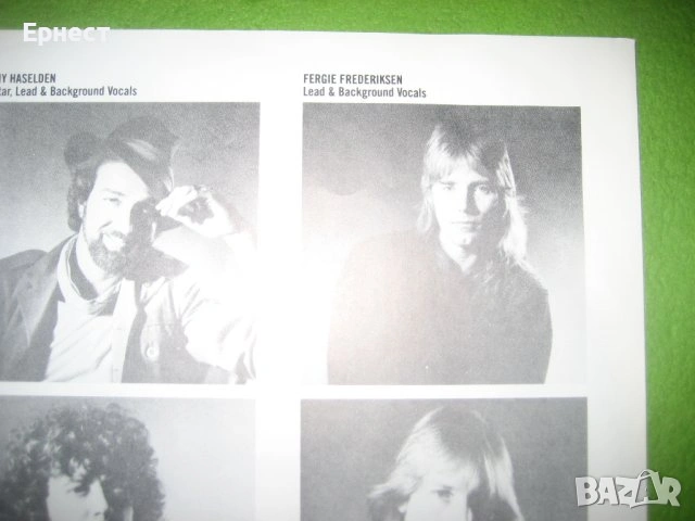 Грамофонни плочи мелодик рок AOR, снимка 13 - Грамофонни плочи - 32745160