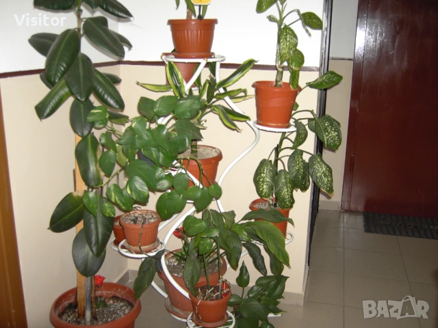 TRAVELER  DC-8300  8.1mpX, снимка 14 - Фотоапарати - 54135476