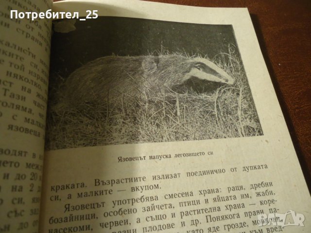 Следи из планините, снимка 7 - Художествена литература - 42914433