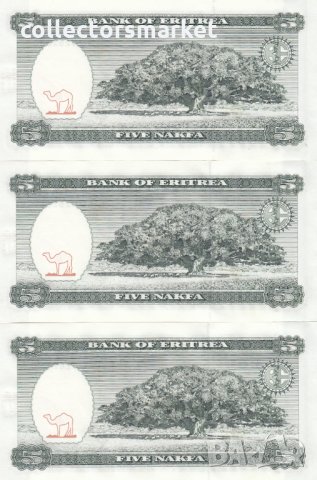 5 накфа 1997, Еритрея(3 банкноти с поредни номера), снимка 2 - Нумизматика и бонистика - 34404097