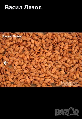 Купувам костилки от праскова, кайсия, череша, синя слива., снимка 2 - Други - 52226214