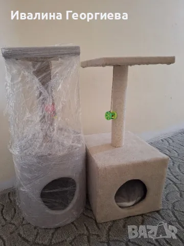 котешка катерушка , снимка 1