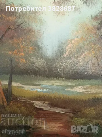 Картина,,ПЕЙЗАЖ,,, снимка 4 - Картини - 48250433