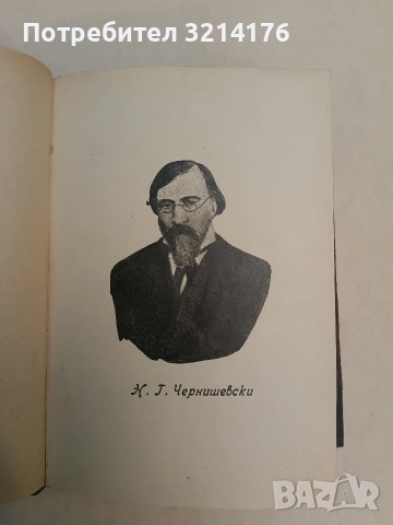 Какво да се прави? / Что делать? - Николай Чернишевски (1927, Луксозна изработка, Отлично състояние), снимка 3 - Специализирана литература - 54255811