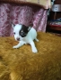 продавам Чихуахуа , снимка 5