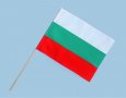Българско знаме 20х26см