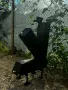 Ракетна печка със сач, снимка 5