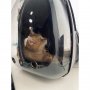 Раница прозрачна капсула носене на кучета или котки, снимка 12