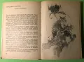 Стара Книга Ловни Разкази 1979 г., снимка 7