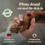 Професионален тример за лапи за кучета и котки - Dog Paw Trimmer Quiet Clippers Dog Clippers , снимка 7