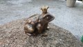 Чугунена масивна жаба 900гр, снимка 2