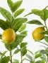 Изкуствено лимоново дръвче, снимка 3
