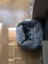 Коте на два месеца , снимка 7