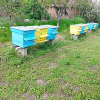 Пчелни кошери с прашецоуловители-50 броя, снимка 2 - За пчели - 40484954