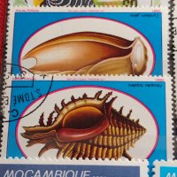 Пощенски марки смесени серий МОРСКИ СВЯТ РИБИ,РАКОВИНИ,МИДИ много красиви 37890, снимка 6 - Филателия - 40445068