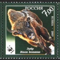 Чисти марки WWF Фауна 2007 от Русия, снимка 1 - Филателия - 37675737