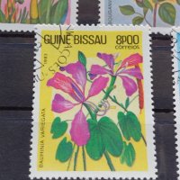 Пощенски марки чиста комплектна серия Цветя 1983г. Пощта Гвинея Бисау за колекция - 22521, снимка 6 - Филателия - 36658101