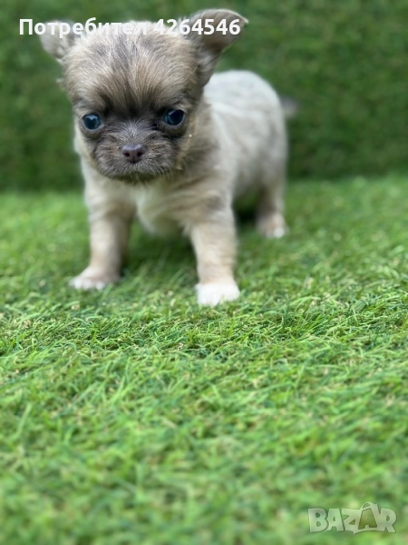 Момче, снимка 1