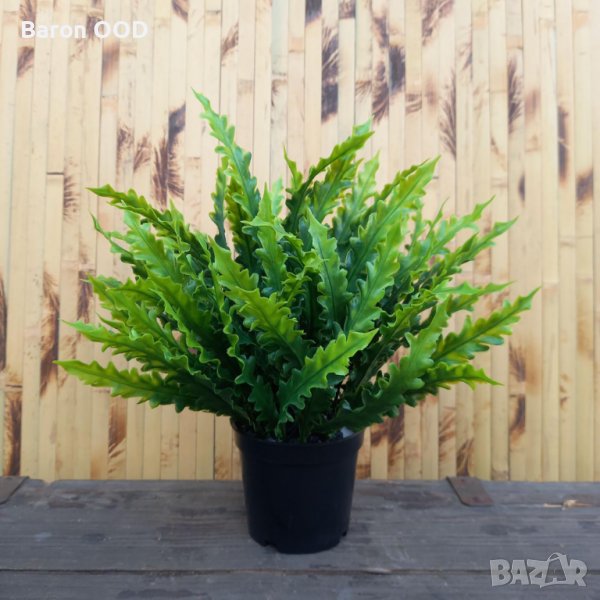 Декоративни изкуствени ниски растения в саксии, снимка 1