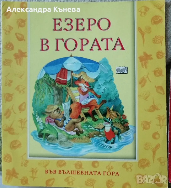 Във вълшебната гора , снимка 1