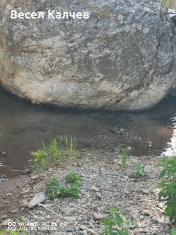 Продавам металотърсач пинроинтер и леген за търсене и промиване на самородно злато. , снимка 4 - Други спортове - 52712696