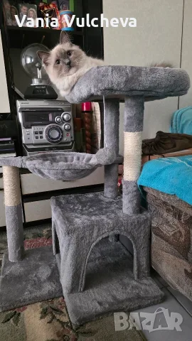 Котешка катерушка с драскалка на 4 нива,с играчка,несглобена,нова,в неразпечатан кашон., снимка 3 - За котки - 55804439