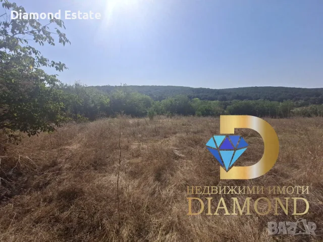 Парцел в село Светлина, общ. Димитровград, снимка 2 - Парцели - 55901086