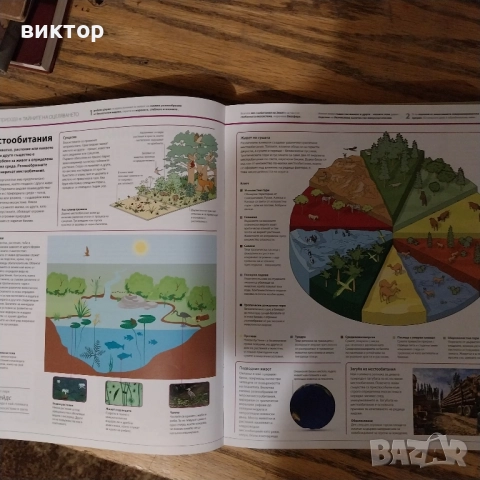 енциклопедия, снимка 2 - Енциклопедии, справочници - 51954744