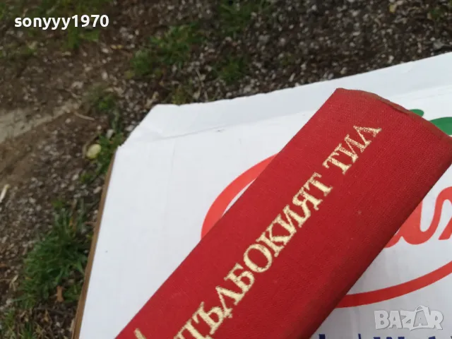 дълбокият тил-роман 1603250739, снимка 14 - Други - 49511696