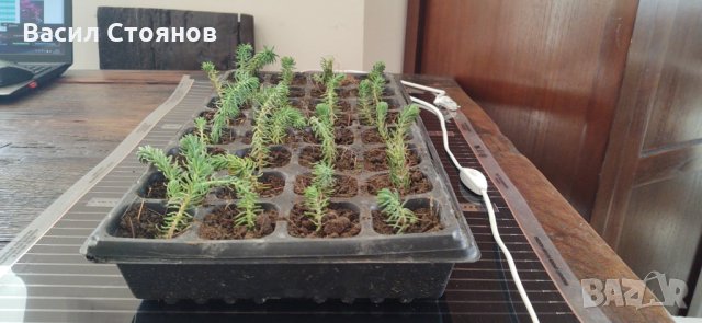 Нагревателна подложка за разсад Арно, снимка 7 - Разсади - 30952406