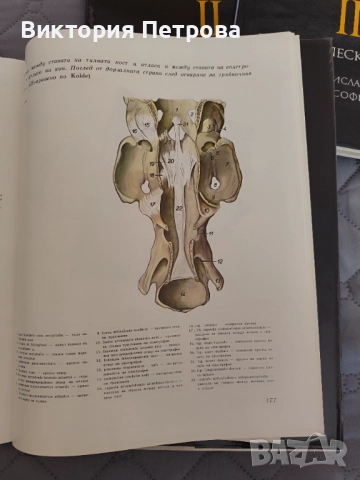 Атлас по топографска анатомия на селскостопанските животни Том 1, 2 и 3, снимка 8 - Специализирана литература - 52815137