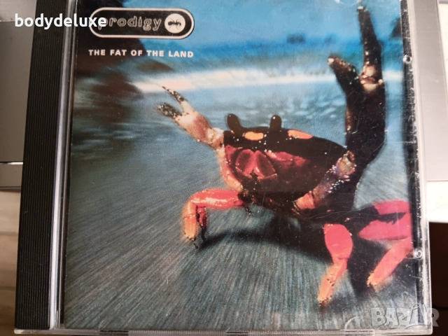 prodigy аудио дискове, снимка 2 - CD дискове - 37149285