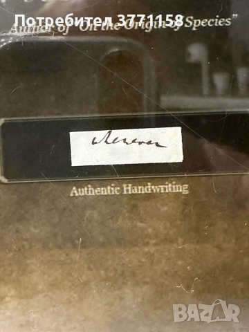 Оригинален ръкопис на ЧАРЛЗ ДАРВИН. Двойно сертифициран!, снимка 2 - Антикварни и старинни предмети - 54096142