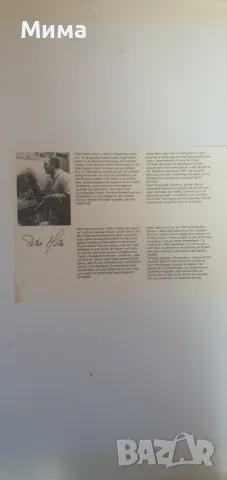 Голяма картина с дървена рамка, снимка 4 - Картини - 47470302