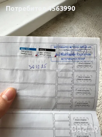 Jenski koker na 3 godini, снимка 5 - Кокер шпаньол - 55878114
