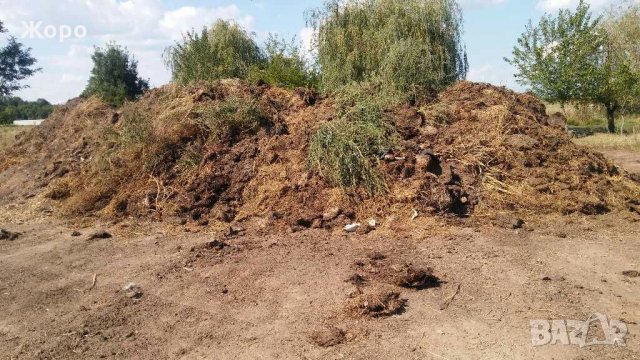 Оборска тор, снимка 2 - Градински цветя и растения - 29598154