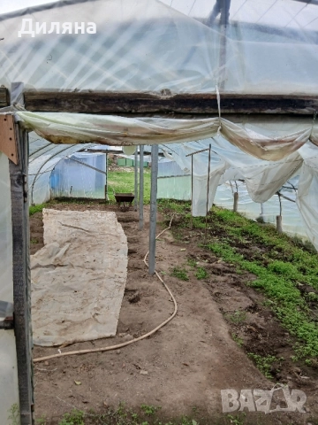 оранжерия, снимка 4 - Оранжерии - 52385900