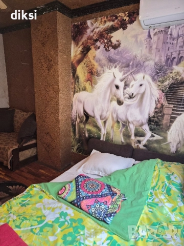 Стая до Медицински институт - 500 лв