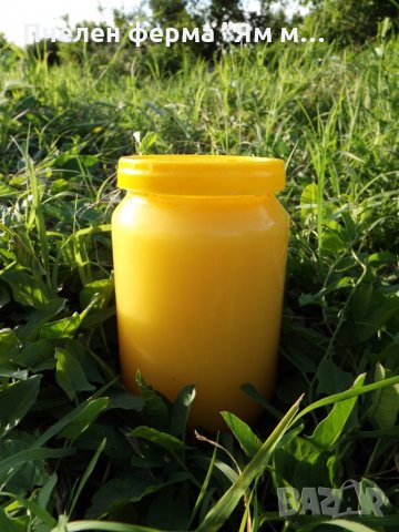 Пчелен мед на едро, директно от производител, реколта 2023 , снимка 11 - Пчелни продукти - 26607421