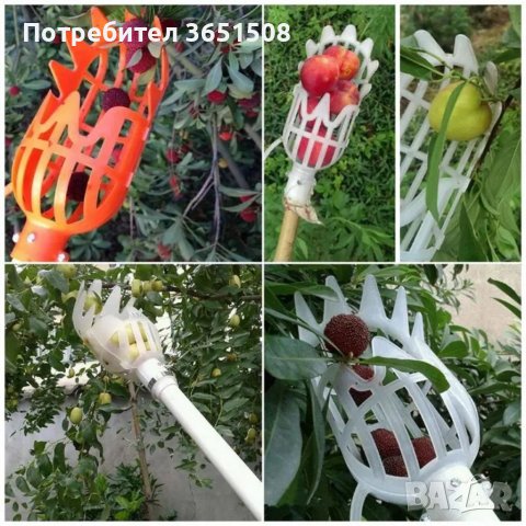Берачка за плодни дръвчета, снимка 2 - Градински инструменти - 39821945