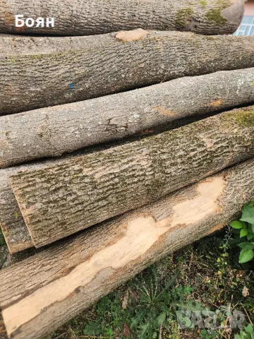 ЛИПА ДЪСКИ, ДЪБ, БУК, ЯСЕН И ОРЕХ, снимка 13 - Дърводелски услуги - 48118585
