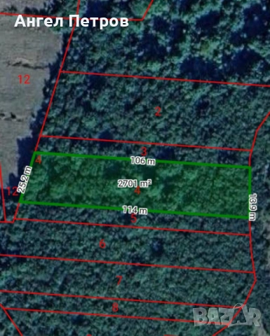 Гора село Долна Бела Речка, общ. Вършец, снимка 5 - Земеделска земя - 54078046